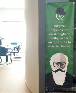 hipster darwin