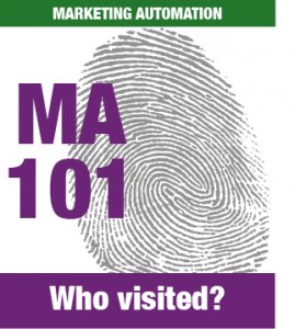 ID web visitors